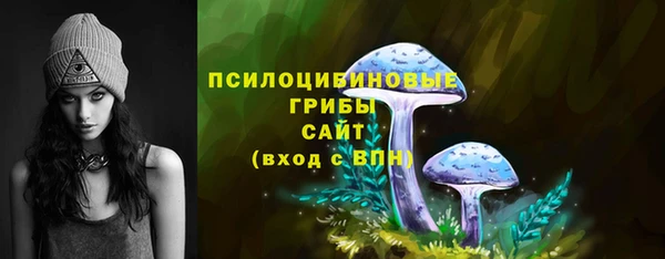гашик Магас