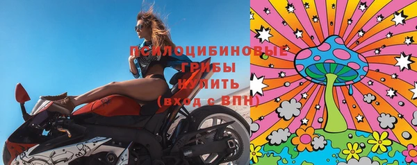 гашик Магас