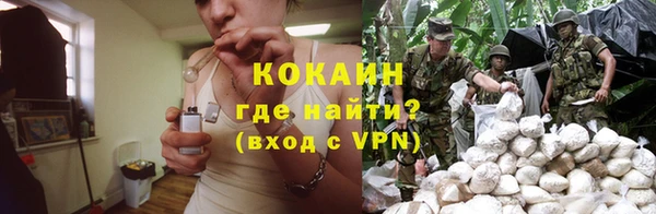 бошки Мегион